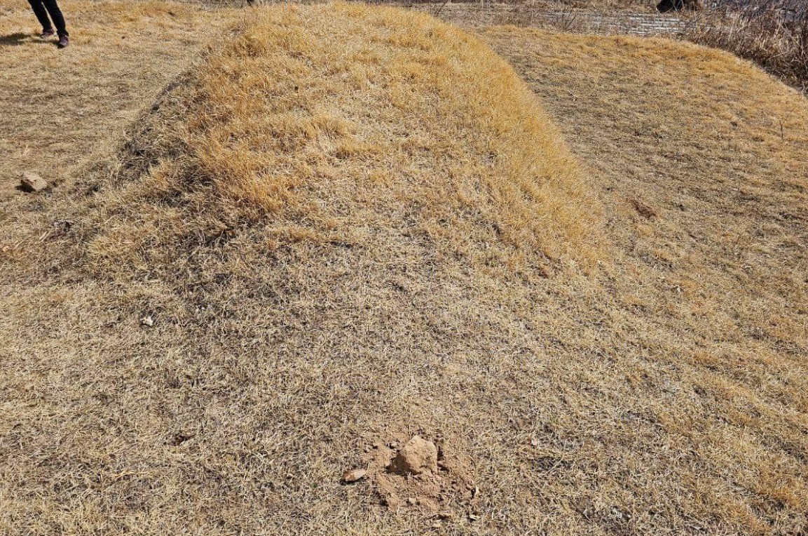 이재명묘소훼손