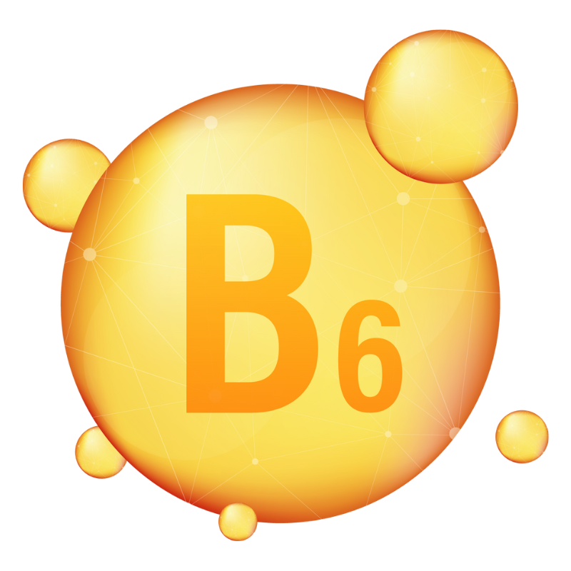 비타민 B 일일 권장량