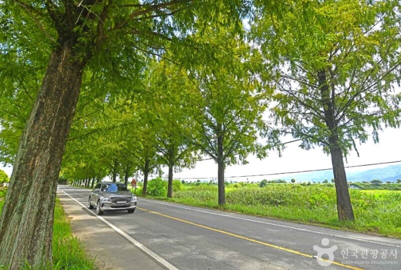 곡성 가볼만한곳 베스트 10