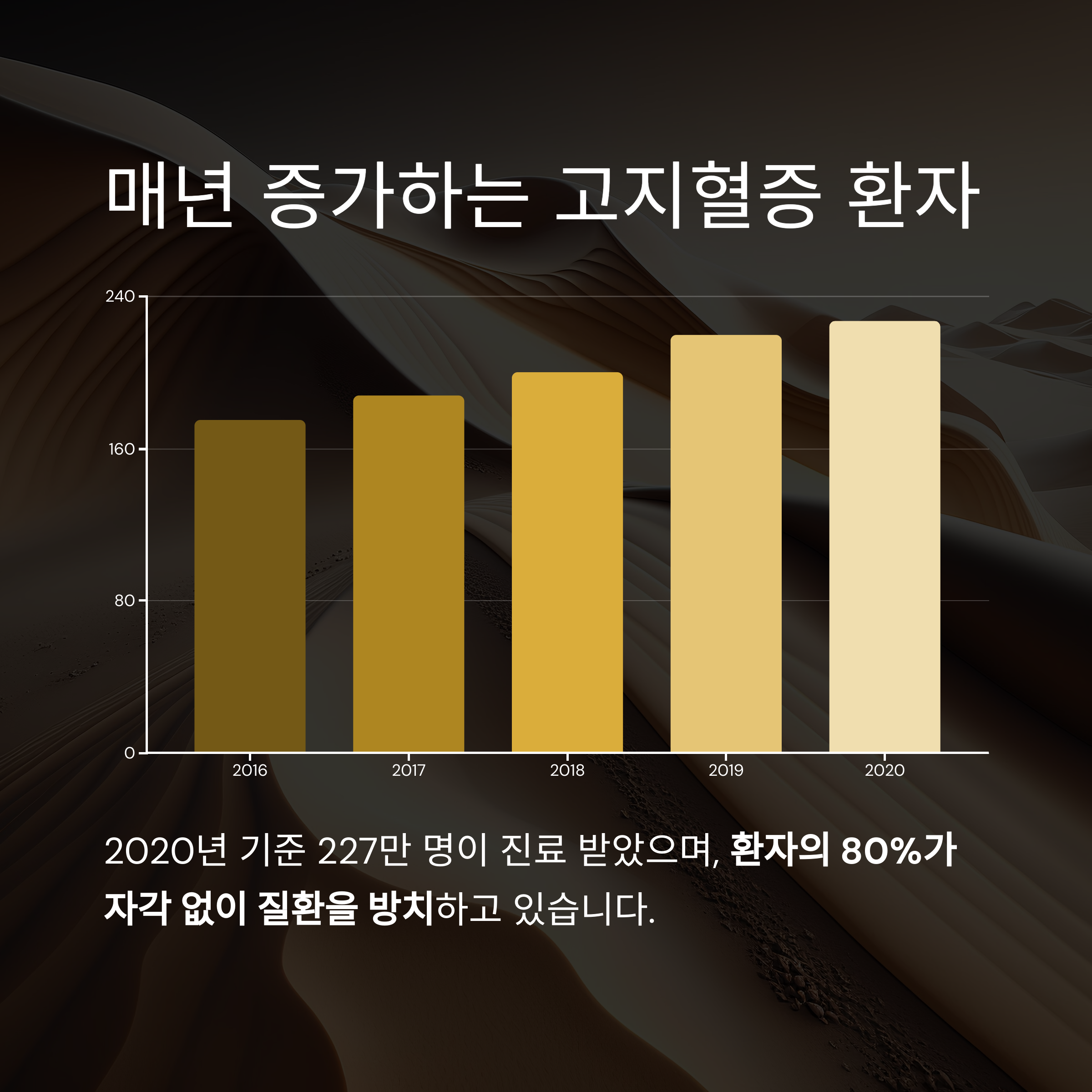 매년 증가하는 고지혈증 환자