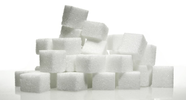 설탕의 대체제 스테비아