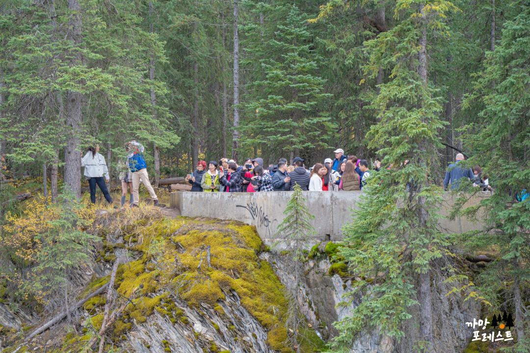 캐나다 밴프 네츄럴 브릿지 호수 관광