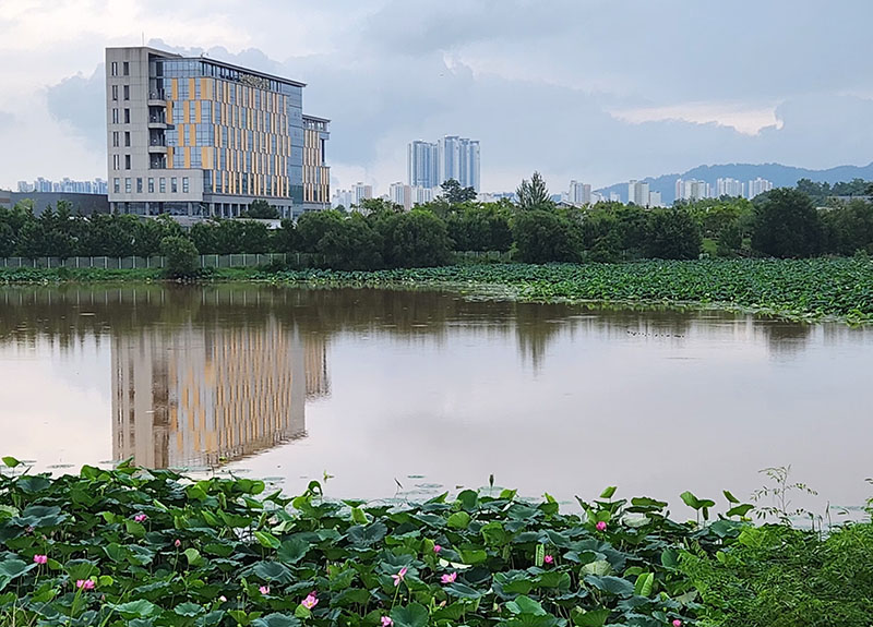 완주군 이서파크골프장 소개