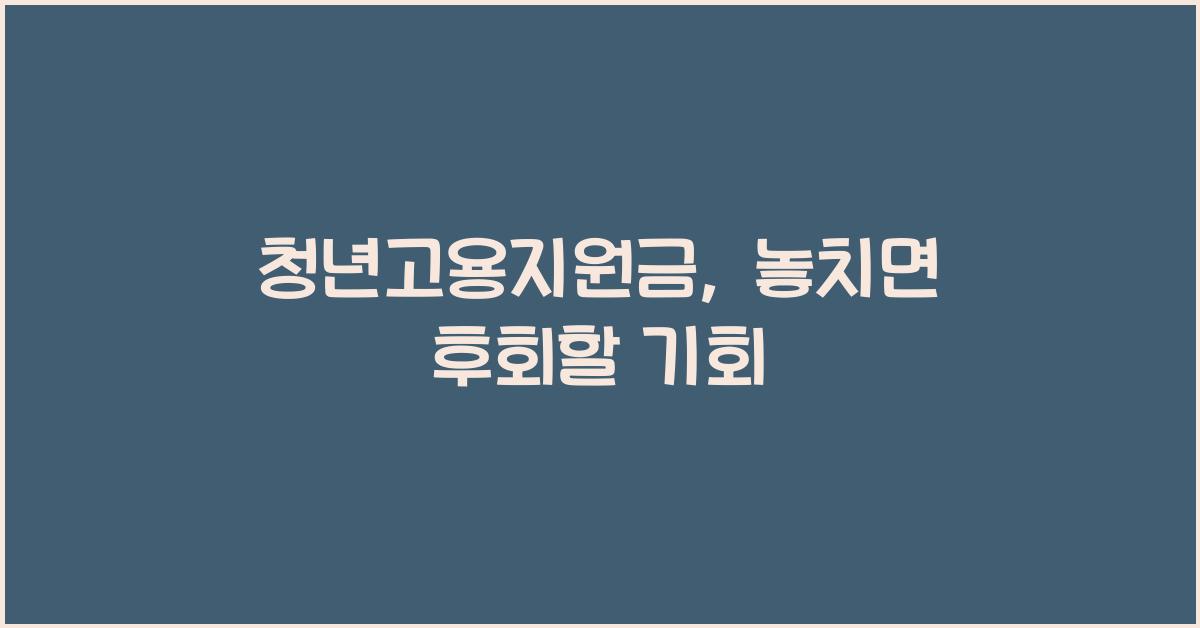 청년고용지원금