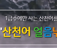 화천산천어축제 입장료 프로그램