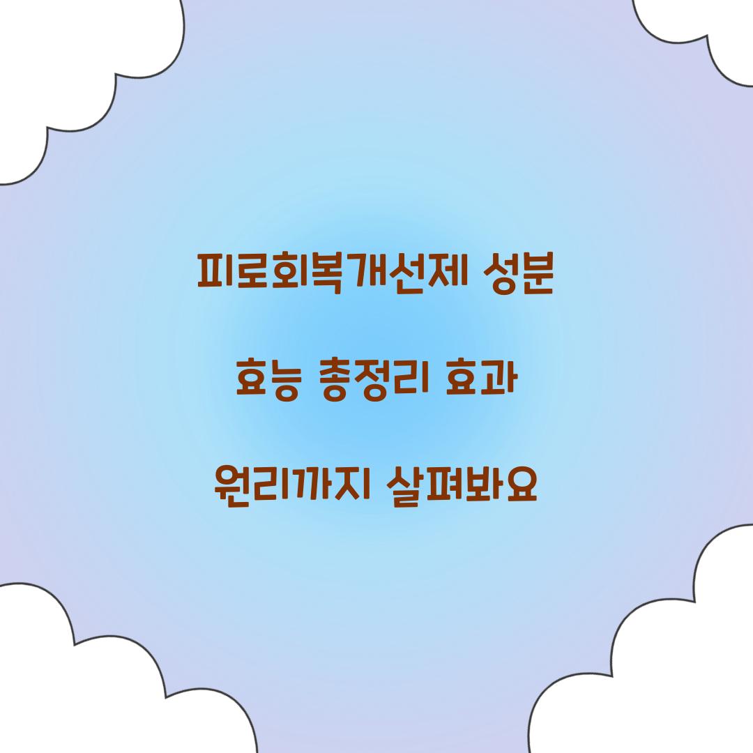 피로회복개선제 성분 효능