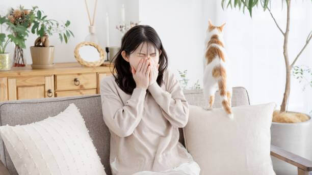 감기인가 비염인가? 헷갈리는 알레르기 비염 증상 확인법