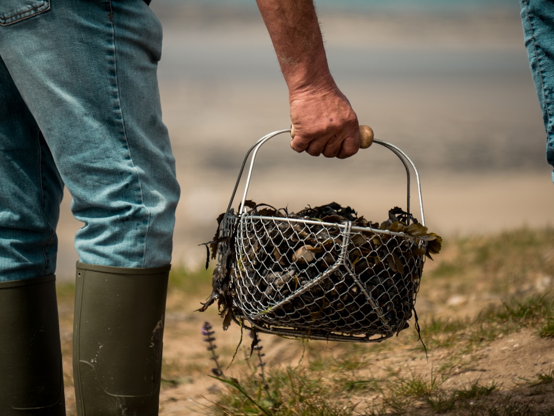 Mussel.