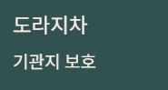 감기 예방에 좋은 건강차 3가지