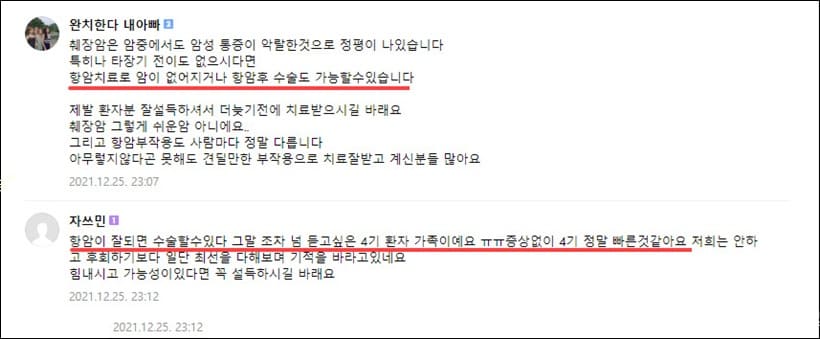 췌장암 항암치료 후기