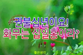 권불십년 화무십일홍 뜻 의미 유래 사용법_20