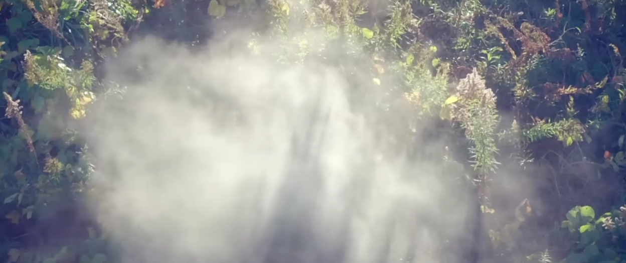 요네즈 켄시 Flowerwall