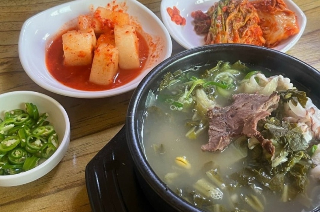 동네한바퀴-속초-
