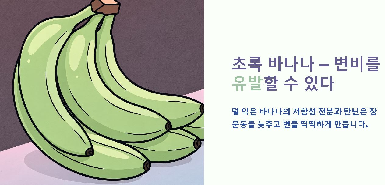 바나나 변비 정리