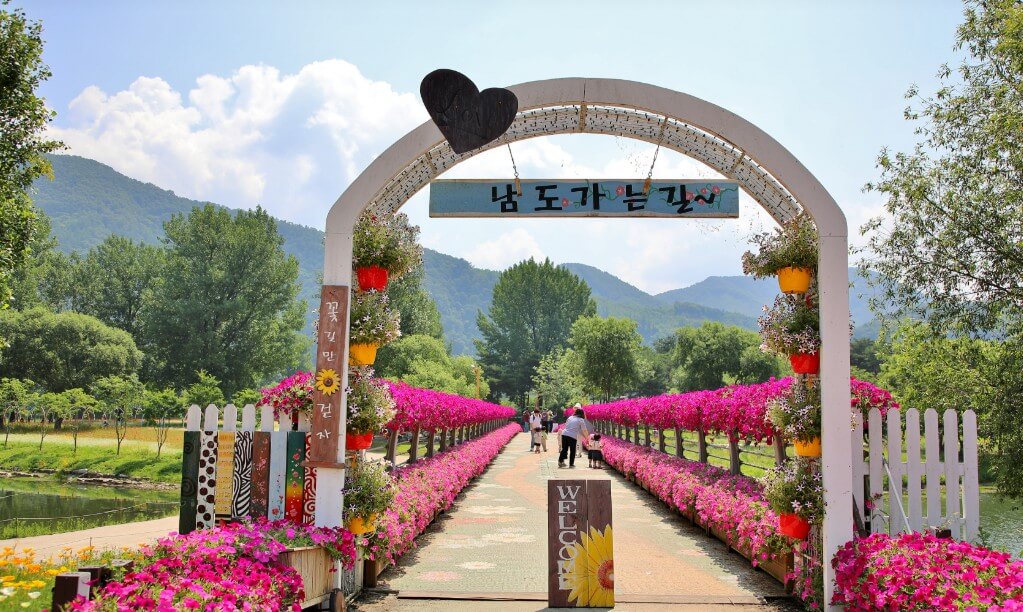 Colorful Garden 자라섬 꽃 페스타 완전 정복 가이드!!