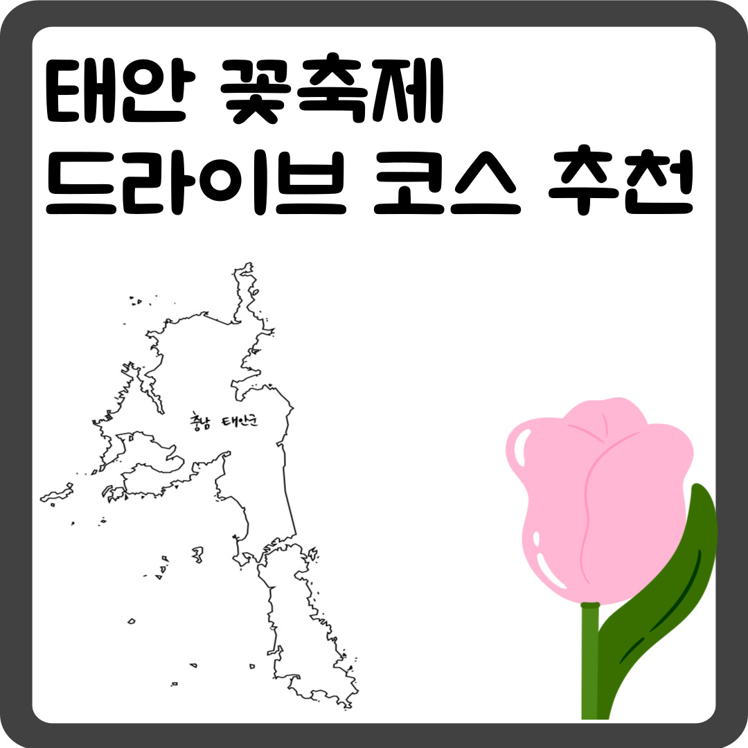 태안 꽃축제 + 드라이브 코스 추천