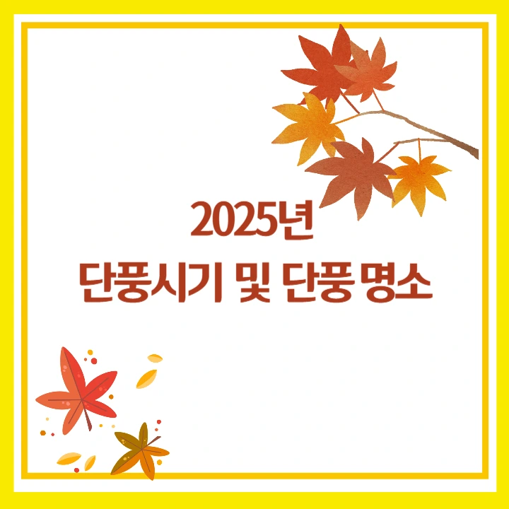 2025년 단풍시기