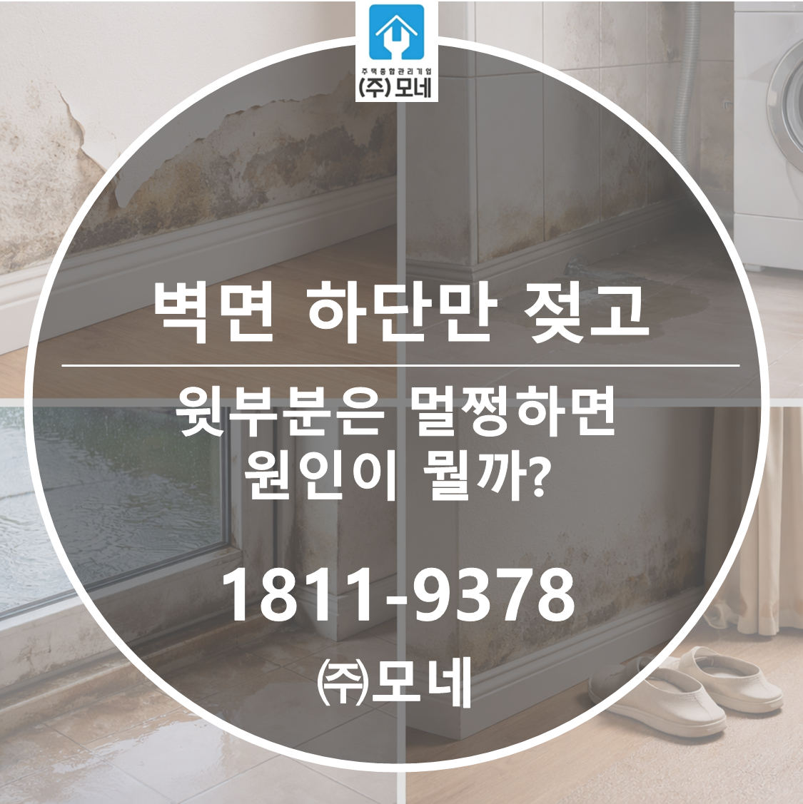 벽면 하단만 젖고 윗부분은 멀쩡하면 원인이 뭘까?