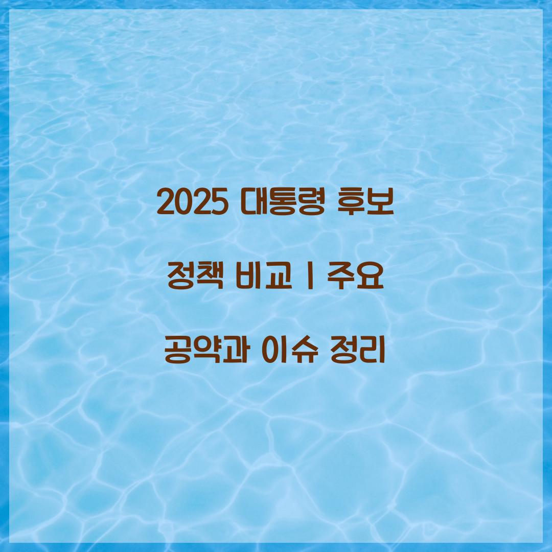 2025 대통령 후보 정책 비교