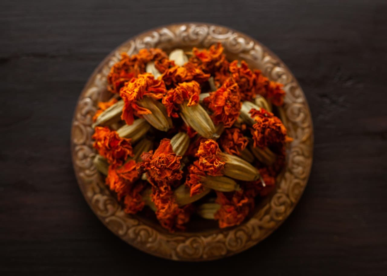 페퍼민트 키우기