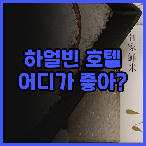 하얼빈 호텔 후기 샹그릴라 vs 합스..