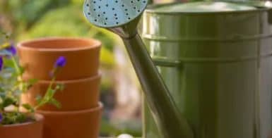 성북구 마을정원사 무료 양성과정 모집의 모든것!