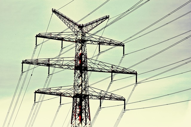 필요할-때-데워먹는-습관-전기밥솥