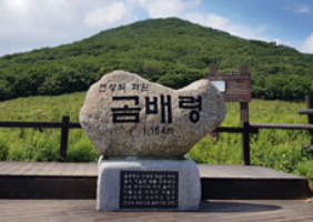 곰배령 등산코스 완벽한 여정