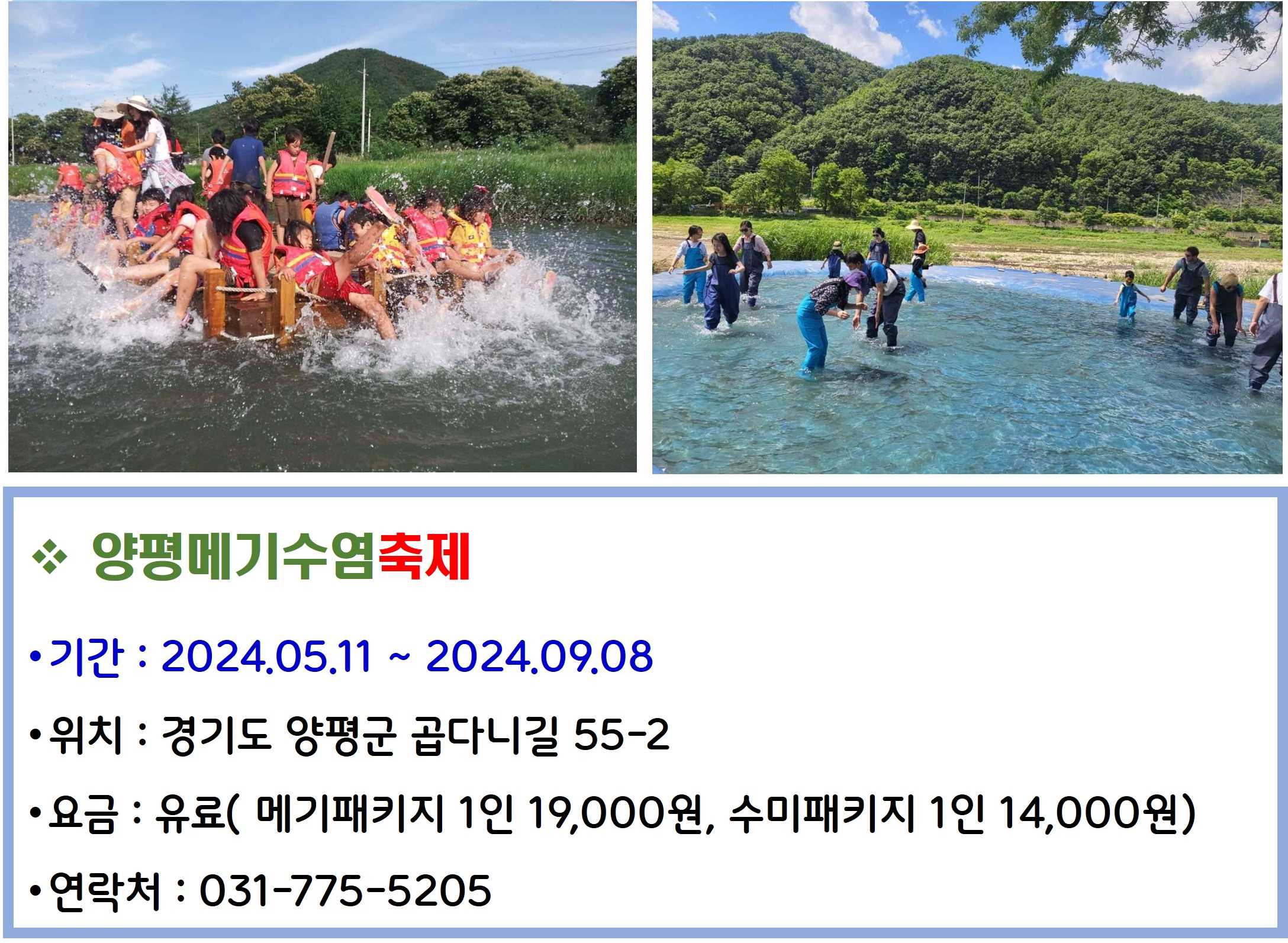 양평메기수염축제