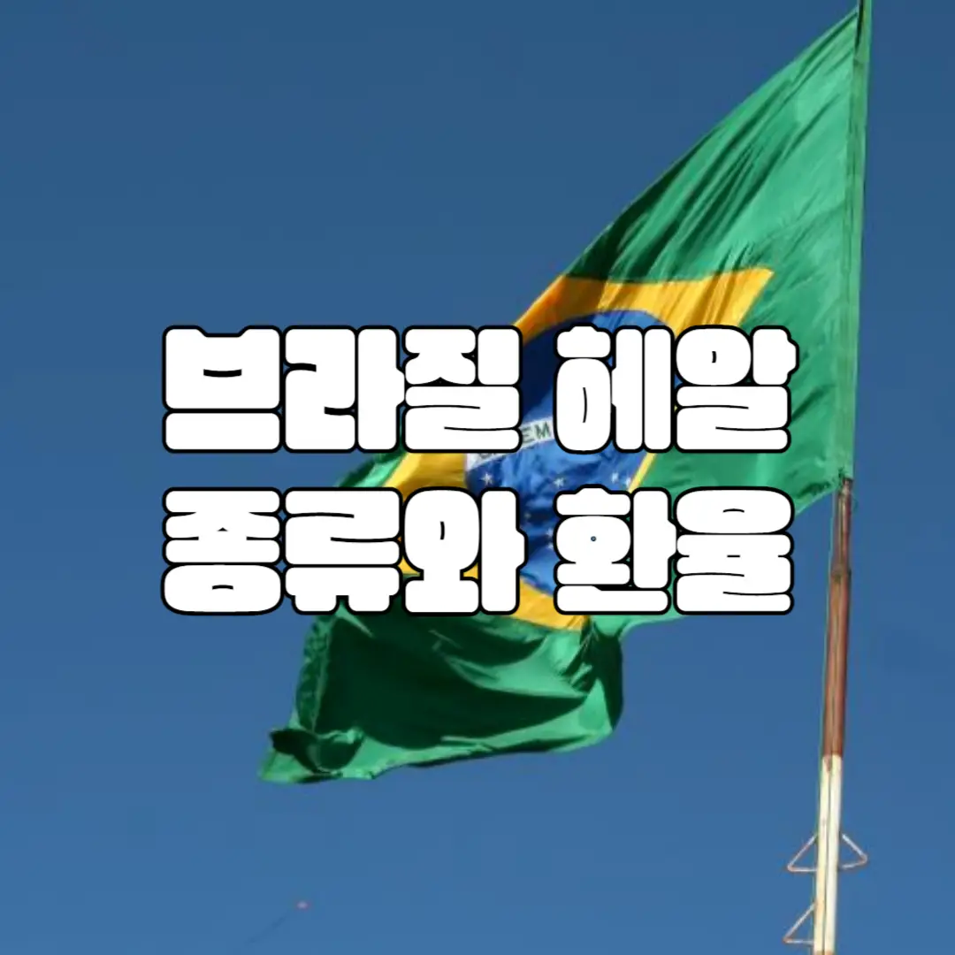 브라질 화폐 헤알