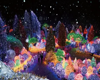 아침고요수목원 오색별빛정원전_9