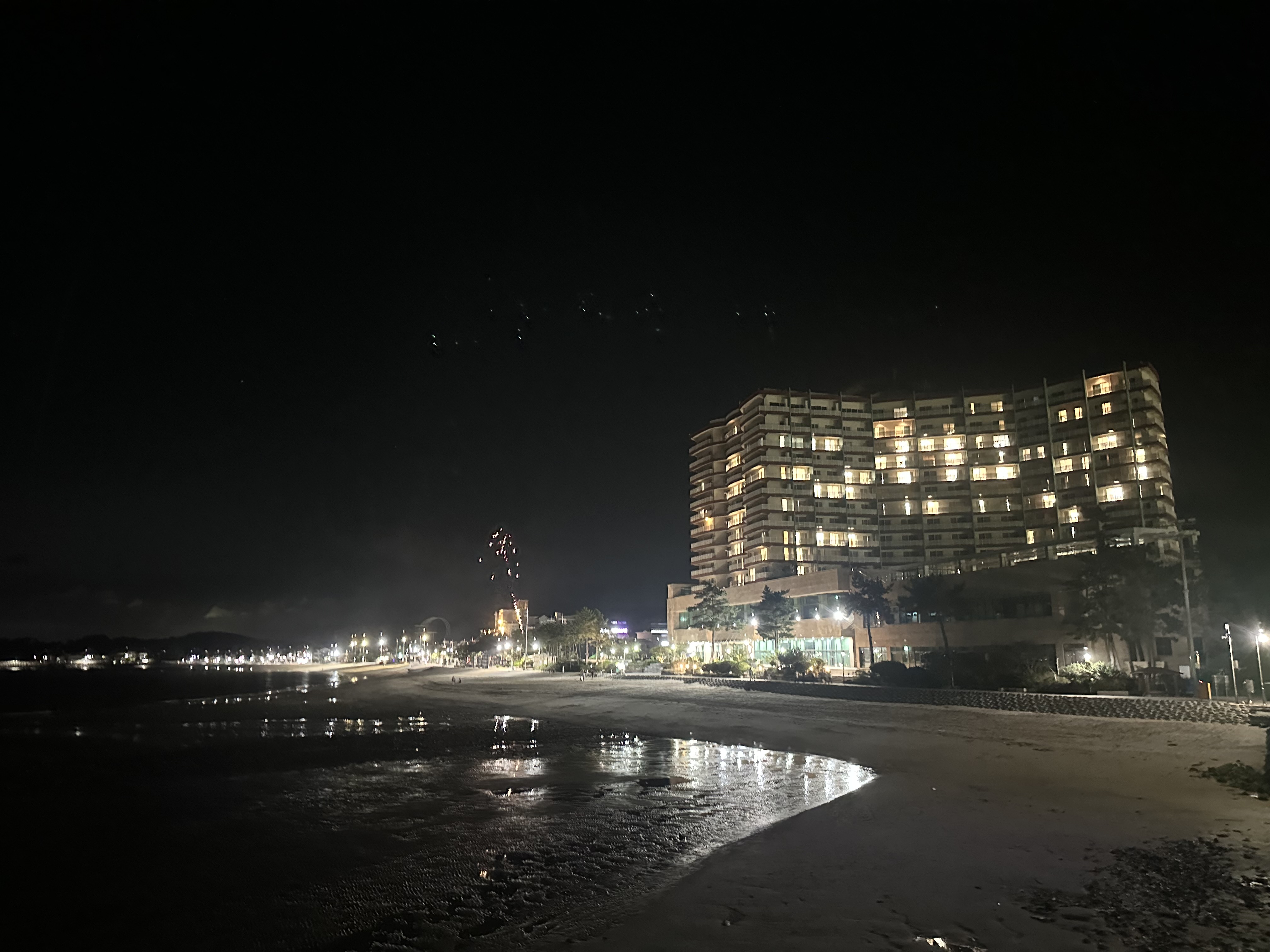 충남 보령, 대천, 무창포 여행 후기3(국내 가족 여행지 추천, 무창포 비체팰리스, 또다시 갯벌체험, 대천 맛집 부페, 점심 밥집 뷔페, 진짜 예쁜 카페 아르나, 분위기 좋은 카페 아르나, 한밤중 닭벼슬섬 산책, 대천항 수산시장 재방문, 찰광어회, 오징어회, 우성수산, 수연호수산, 무창포 비체펠리스, 오션뷰, 밥 해먹을 수 있는 숙소, 무창포 펜션)