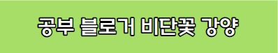 강비단 공부블로거 비단꽃 강양 정보 나이 프로필