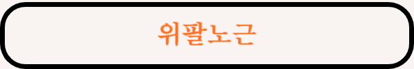 위팔노근 통증 부위