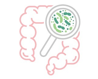치커리 효능