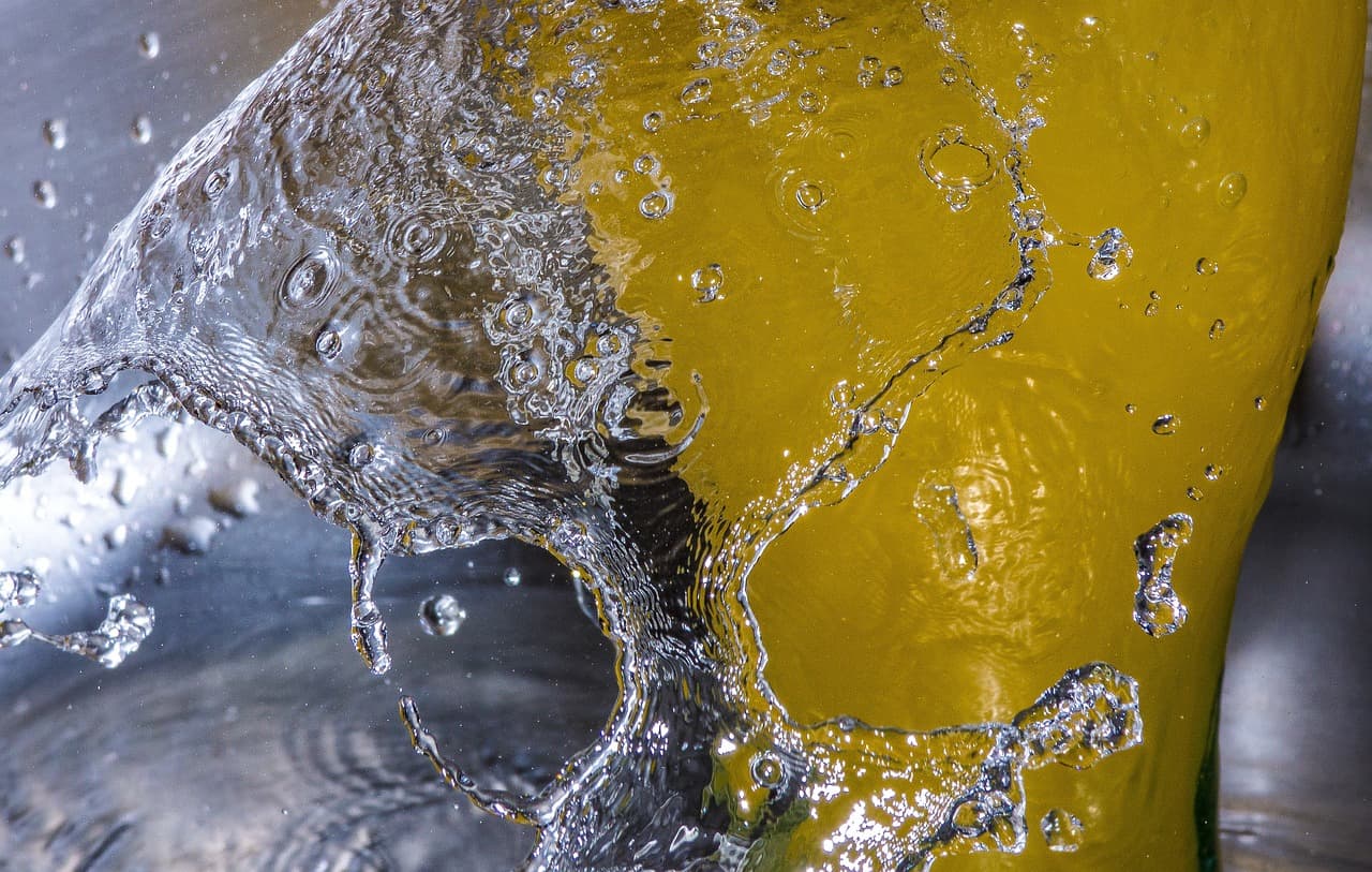 동물 복지를 고려한 슬로 패션 소재의 선택