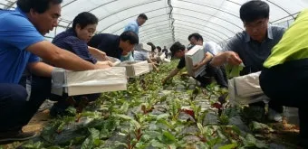 농업 교육 수강 농업기술센터 온라인 강좌 자격증 실습 정보_2