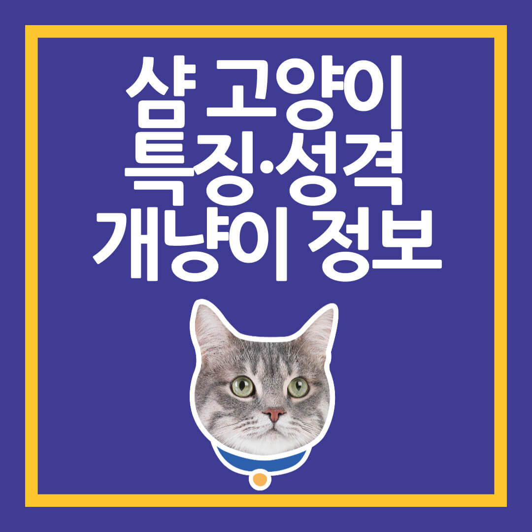 샴고양이