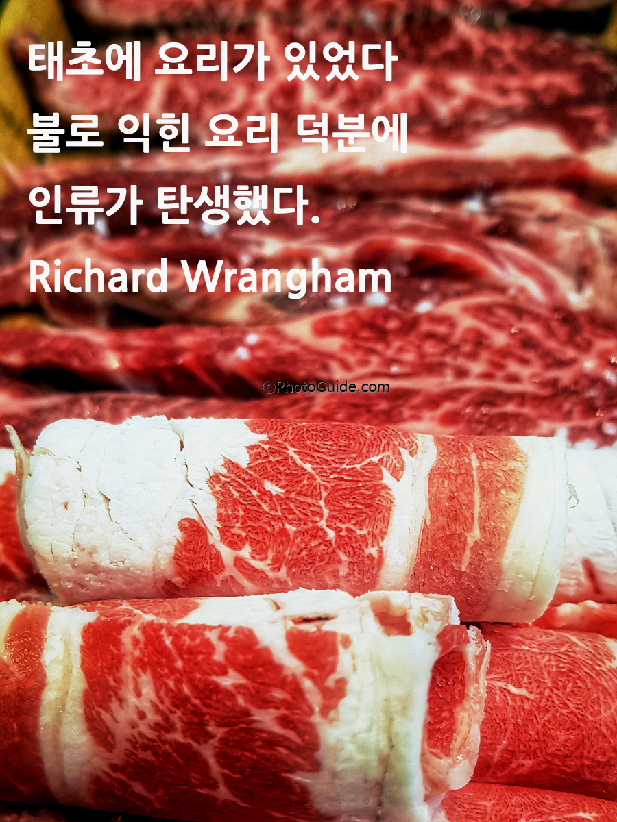 소고기