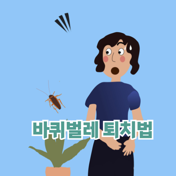 바퀴벌레없애는법