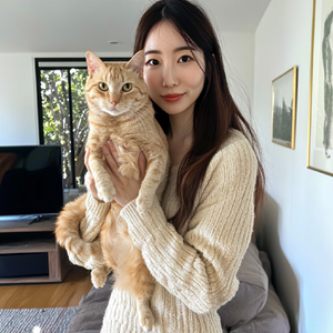 자취생을 위한 반려묘 인테리어 꿀팁