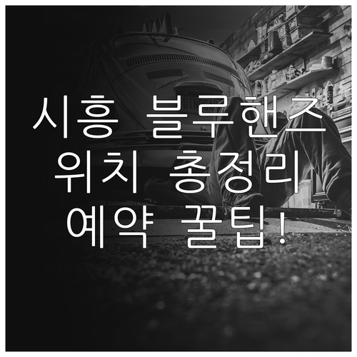 시흥시 현대자동차 블루핸즈 지점별 위..