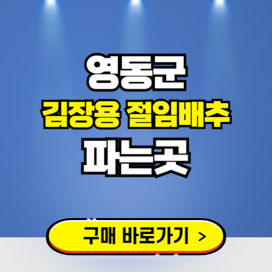 영동군 절임배추 사전예약 구입하는곳 ❘ 김장배추 파는곳 가격보기
