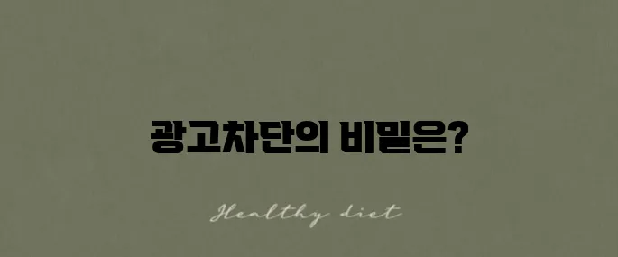아이폰 사파리에서 광고차단에 영향을 미치는 요소를 알아보자