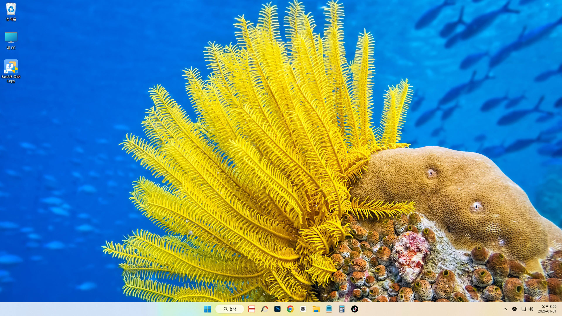 SSD 마이그레이션 결과