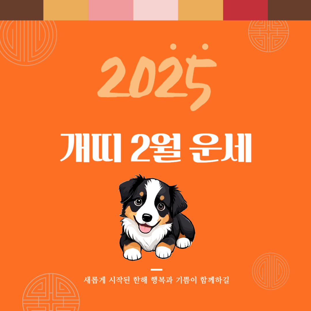 2025년 을사년 『개띠』 2월 운세