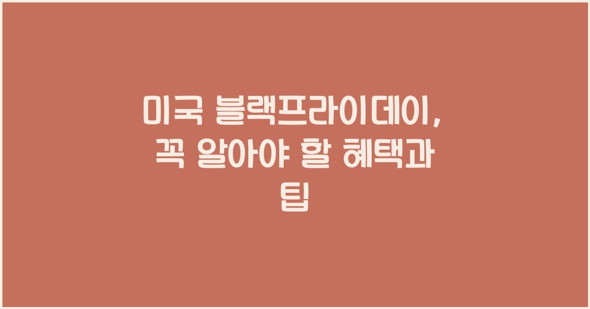 미국 블랙프라이데이