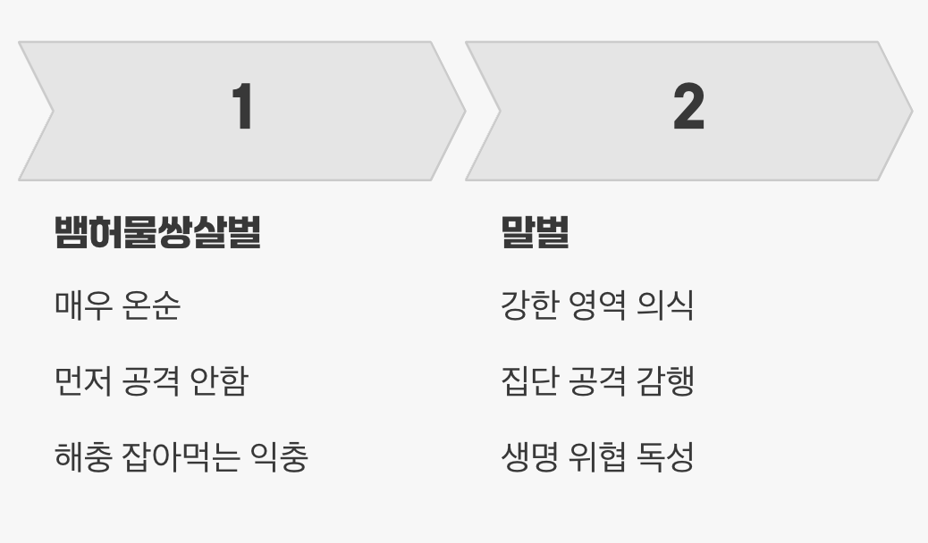 전혀 다른 성격, '공격성'
