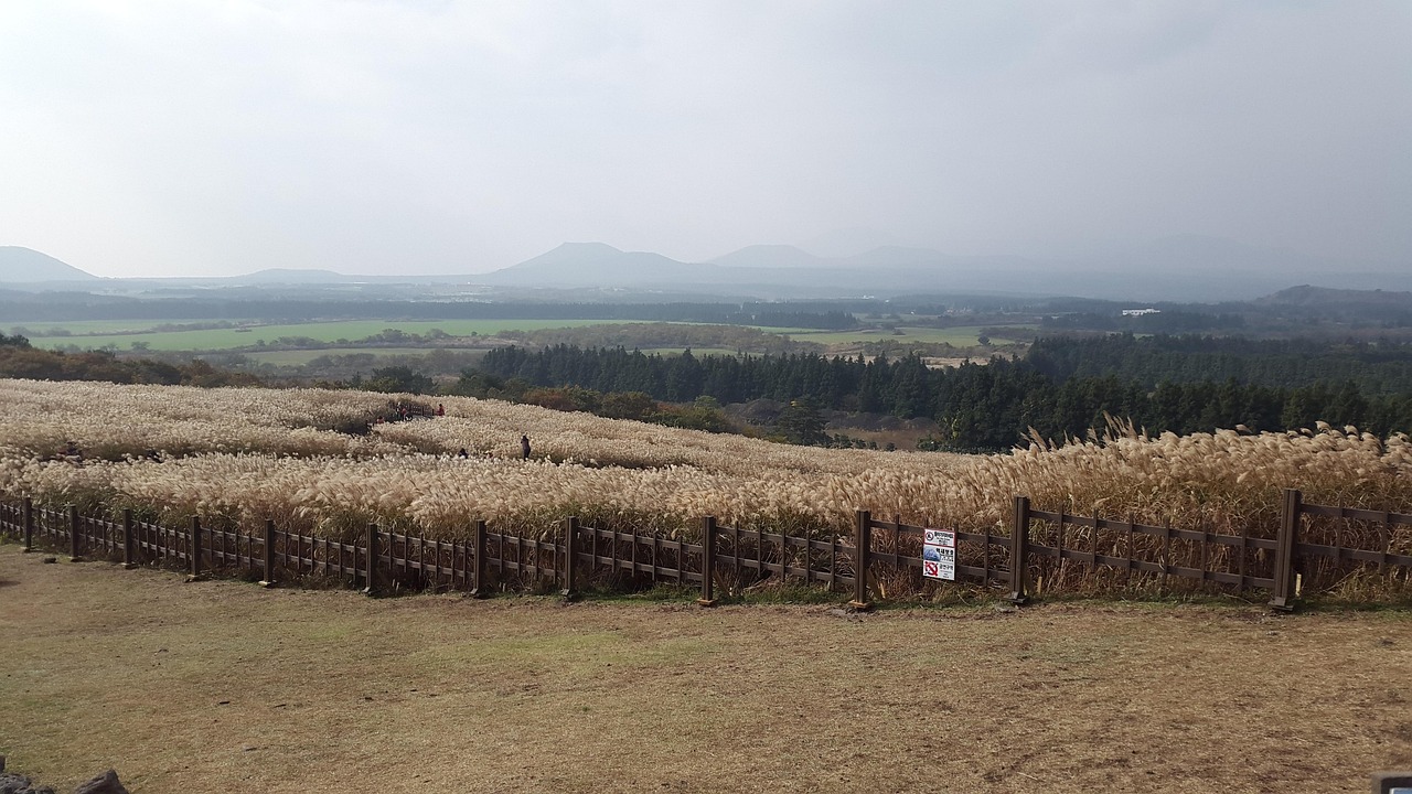 아이와 함께 걷기 좋은 제주 오름 관련 사진