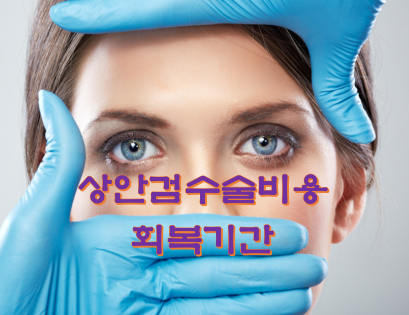 상안검수술비용